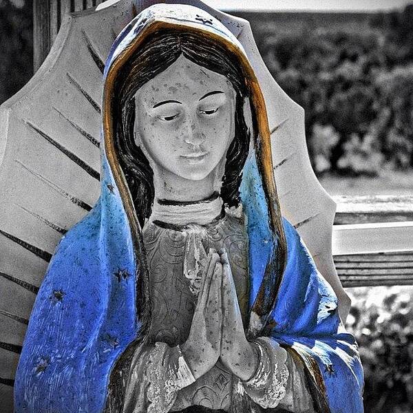 Blue Art Print featuring the photograph In Prayer by Gia Marie Houck