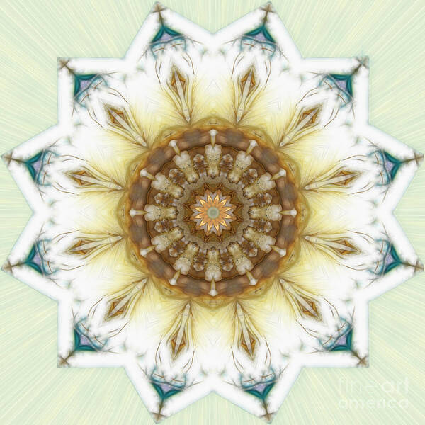  Art Print featuring the digital art Innocent Reflections by Rhonda Strickland