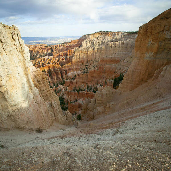 Bryce Canyon Art Print featuring the photograph Into the Vortex by Laura Tucker