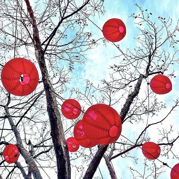 Redthursday_circles Art Print featuring the photograph Look Up by Julie Gebhardt