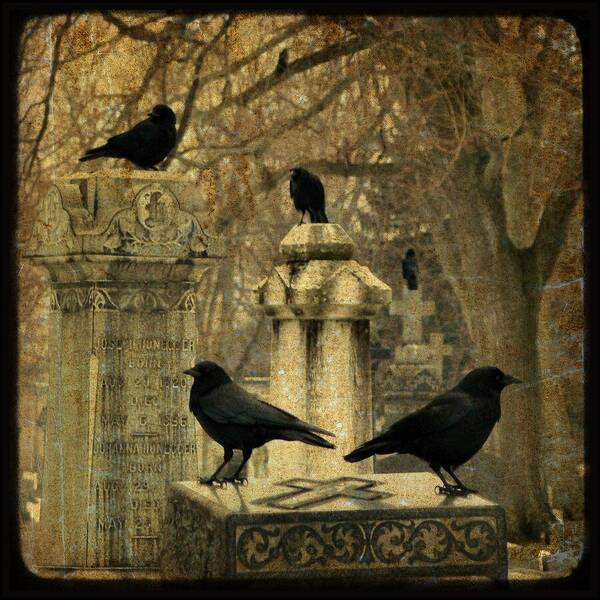Crows In January Art Print featuring the photograph January Darkness by Gothicrow Images