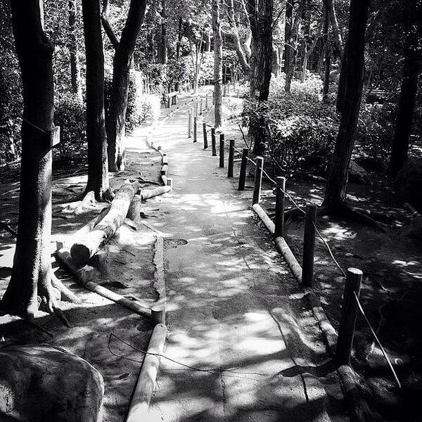 Beautiful Art Print featuring the photograph Japan Garden.#statigram #eyes #nice by Saito Hironobu