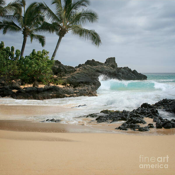 Aloha Art Print featuring the photograph Journey of Discovery by Sharon Mau