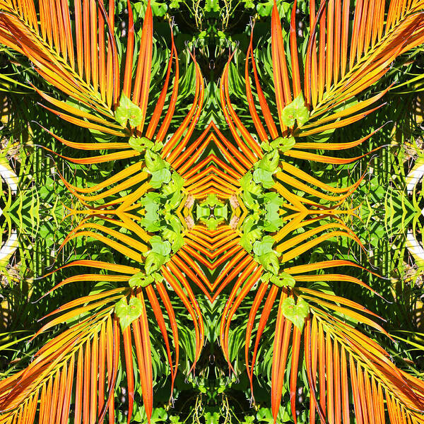 Kaleidoscope Art Print featuring the photograph Jungle Pattern by Iryna Goodall