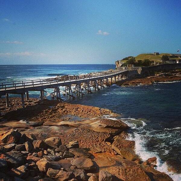Laperouse Art Print featuring the photograph La Perouse On A Beautiful Summers Day by Pauly Vella