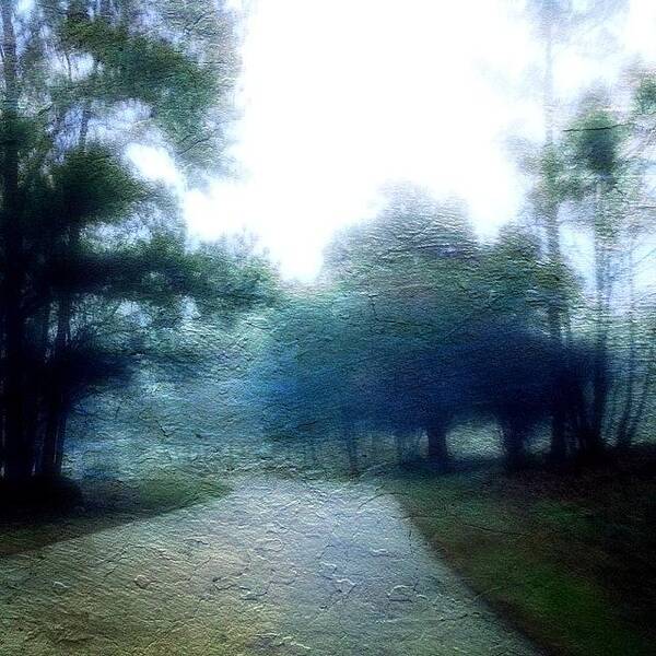 Ampt_community Art Print featuring the photograph #landscape #landscape_collection #trees by Lorenka Campos