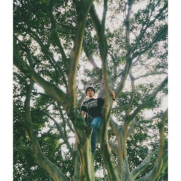Parktime Art Print featuring the photograph Le Bro And His Tree. 
#vsco #vscocam by Aileen Aguilera