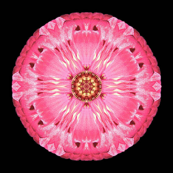 Flower Art Print featuring the photograph Light Red Zinnia Elegans Flower Mandala by David J Bookbinder