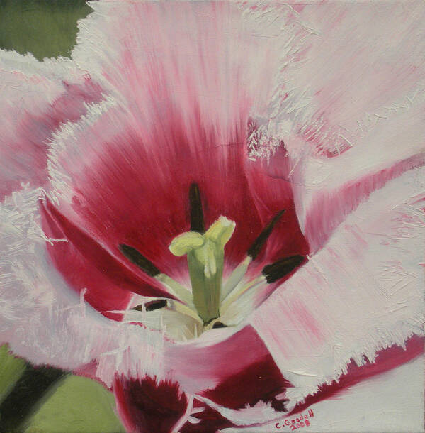 Tulip Art Print featuring the painting Lilicaea Tulipa by Claudia Goodell