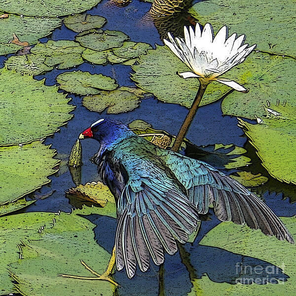 #lily #exoticbird #puntacana #dominicanrepublic #nature Art Print featuring the digital art Lily Pad with Bird by Jacquelinemari