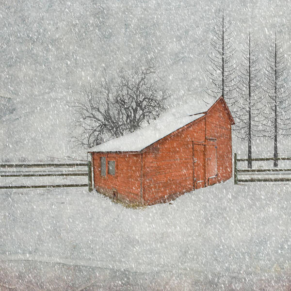 Red Barn Art Print featuring the photograph Little Red Barn by Juli Scalzi