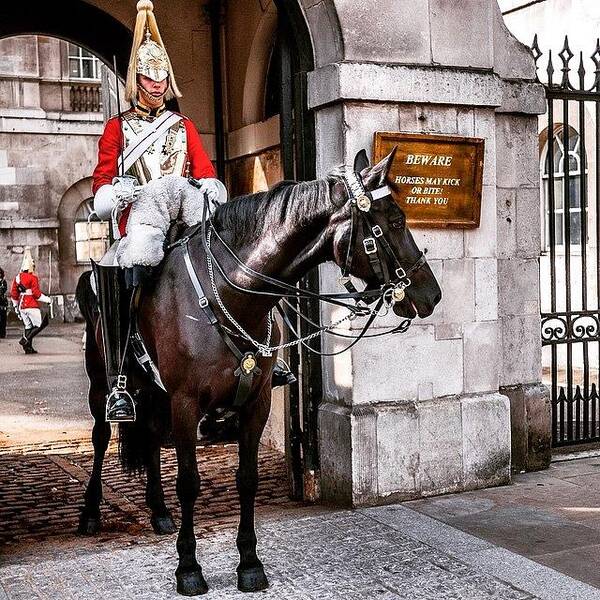 Horse Art Print featuring the photograph London, Palace Guard by Aleck Cartwright