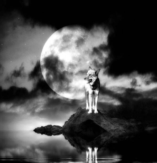 Abstract Art Print featuring the photograph Lonely wolf with full moon by Jaroslaw Grudzinski