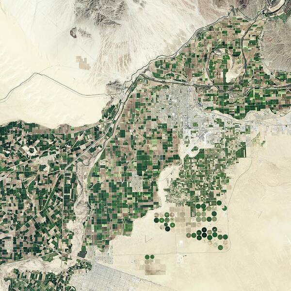 Yuma Art Print featuring the photograph Lower Colorado River by Nasa Earth Observatory