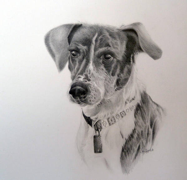 Dog Art Print featuring the drawing Man's Best Friend by Lori Ippolito