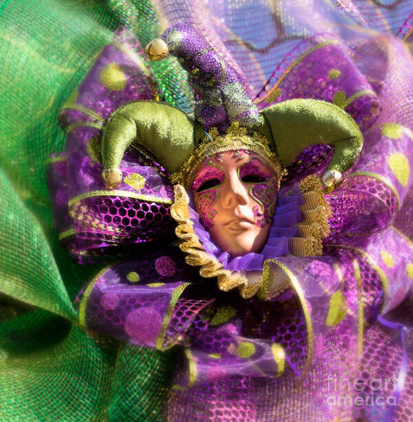 Carnival Art Print featuring the photograph Mardi Gras Decoration by Jerry Fornarotto