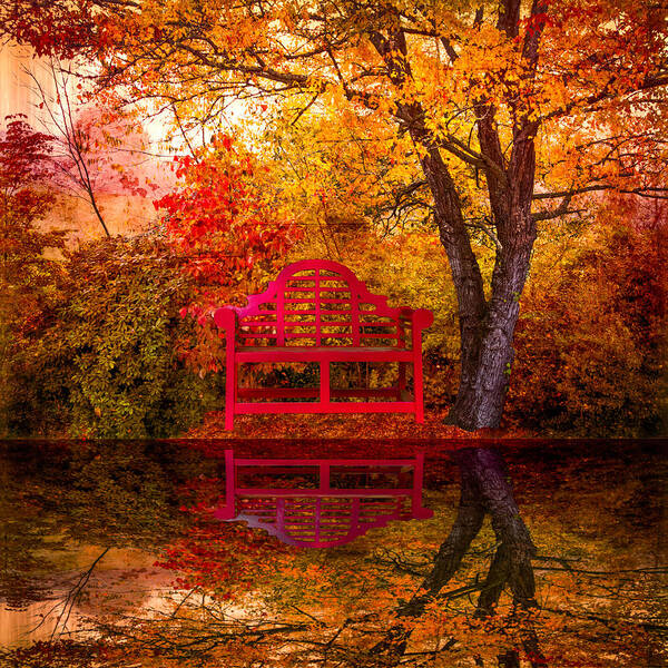 American Art Print featuring the photograph Meet Me at the Pond by Debra and Dave Vanderlaan