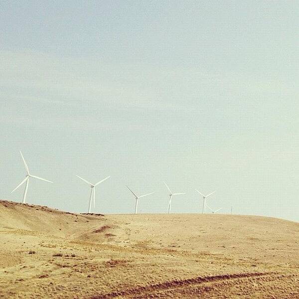 Windmills Art Print featuring the photograph Milling some wind by Rebecca Guss