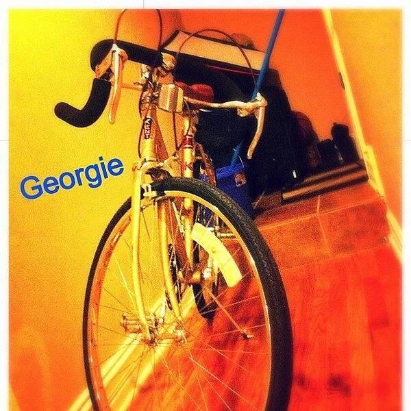 Bicycle Art Print featuring the photograph My New Ride... Georgie Let The Fun And by Eyeamnikkib Bruce