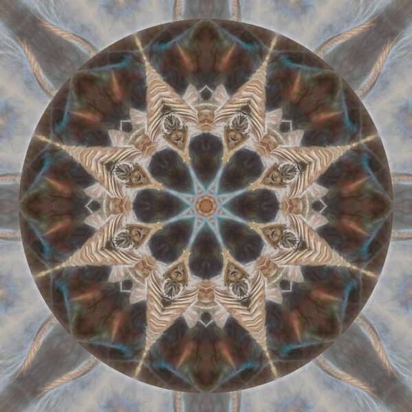 Mandala Art Print featuring the digital art Nature Speaks Mandala by Beth Venner