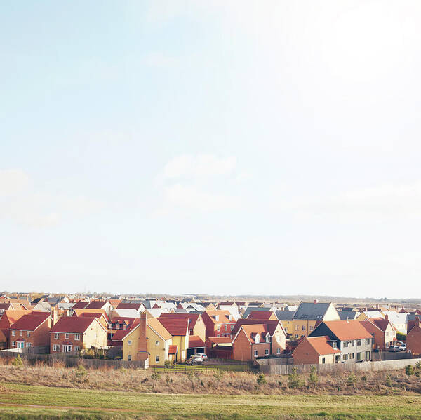 Cambridgeshire Art Print featuring the photograph New Houses by Tim Robberts