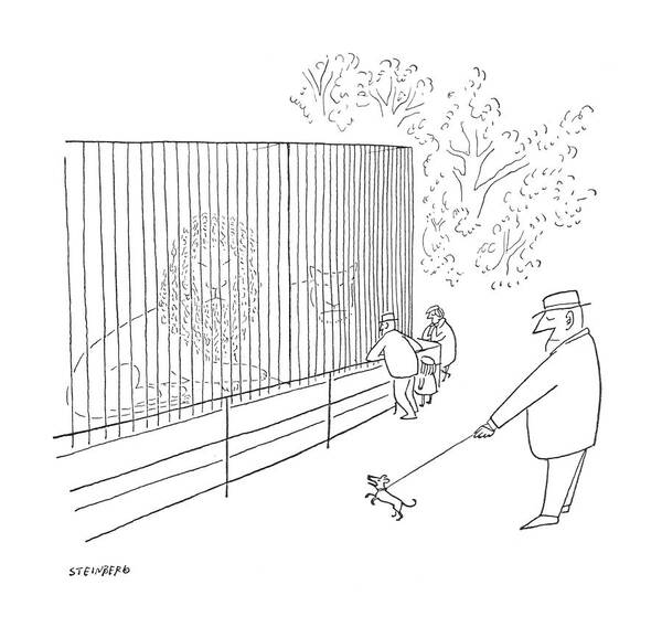 95339 Sst Saul Steinberg (man With Small Dog In Zoo. The Dog Is Barking At A Lion Who Is Paying No Attention To Him.) Ambition Animals Attention Barking Best Canines Captivity Con?dence Dog Doggie Dogs Friend Jungle King Lion Man Man's Paying Pet Pets Pooch Puppies Puppy Wee Wild Wildcat Zoo Zoos Art Print featuring the drawing New Yorker July 22nd, 1950 by Saul Steinberg
