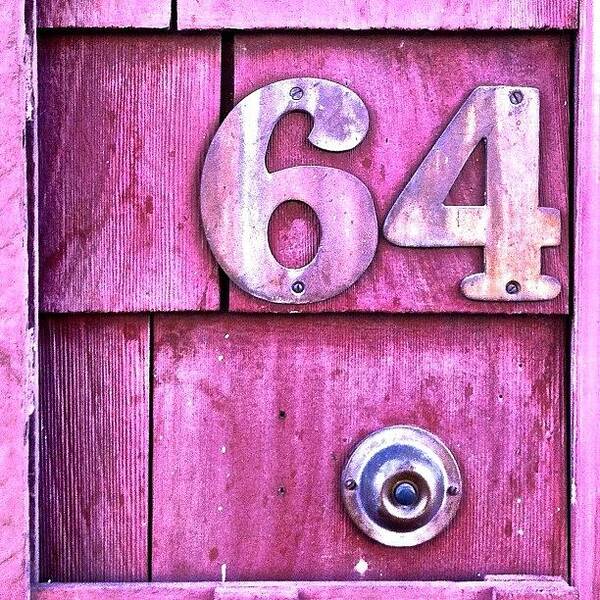 Pinkisobscene Art Print featuring the photograph Number 64 by Julie Gebhardt