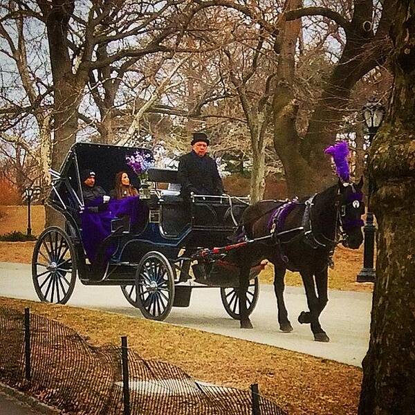 Centralpark Art Print featuring the photograph Nyc, Ny - Horse & Buggy - Mar 20-25 by Trey Kendrick