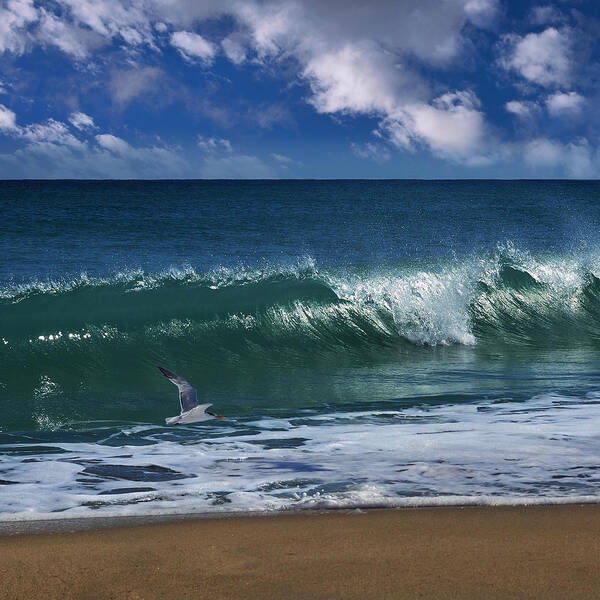 Wave Art Print featuring the photograph Ocean Blue Morning by Laura Fasulo