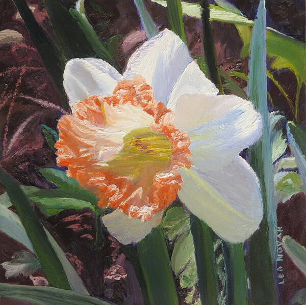 Flower Art Print featuring the painting Orange Daffodil by Lea Novak