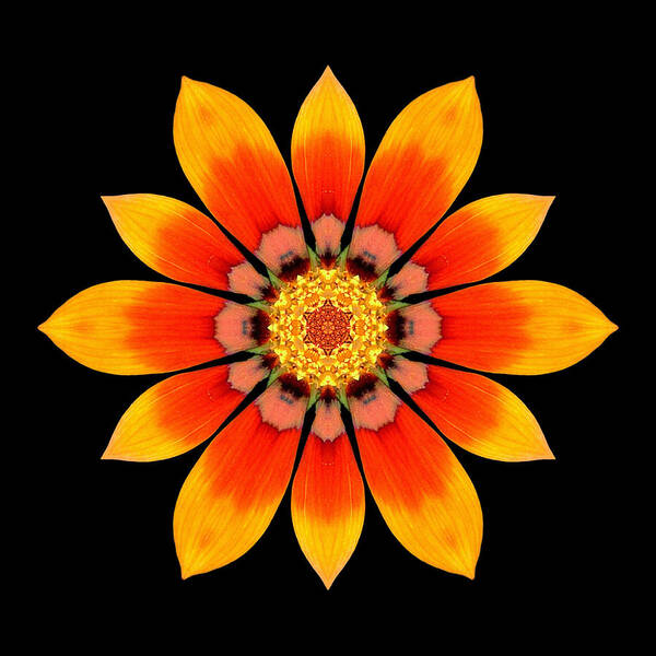 Flower Art Print featuring the photograph Orange Gazania I Flower Mandala by David J Bookbinder
