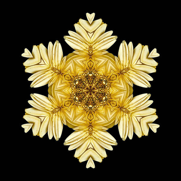 Flower Art Print featuring the photograph Pale Yellow Gerbera Daisy VII Flower MandalaFlower Mandala by David J Bookbinder