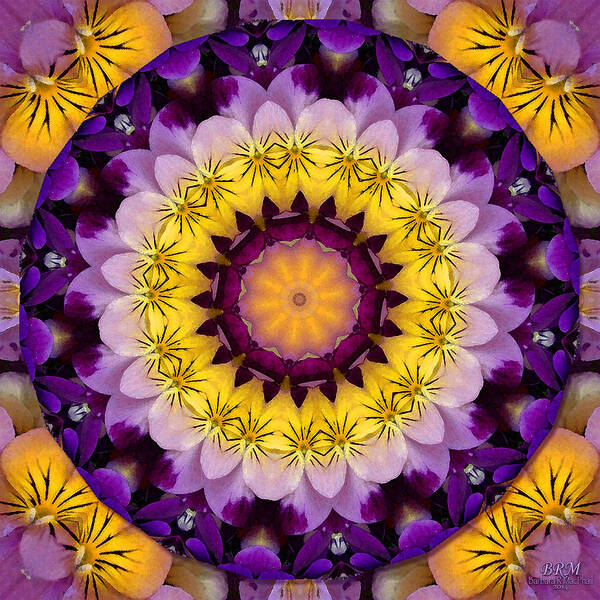 Kaleidoscope Art Print featuring the photograph Pansy Celebration by Barbara R MacPhail