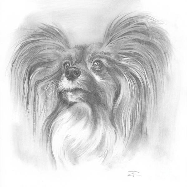 Dog Art Print featuring the drawing Papillon by Paul Davenport