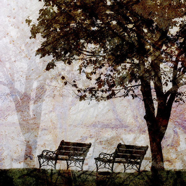 Two Art Print featuring the photograph Park Benches Square by Carol Leigh