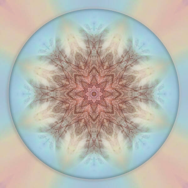 Mandala Art Print featuring the photograph Pastel Sky Mandala by Beth Venner