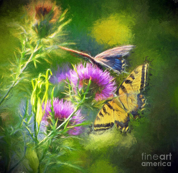 Butterfly Art Print featuring the photograph Peaceful Easy Feeling by Kerri Farley