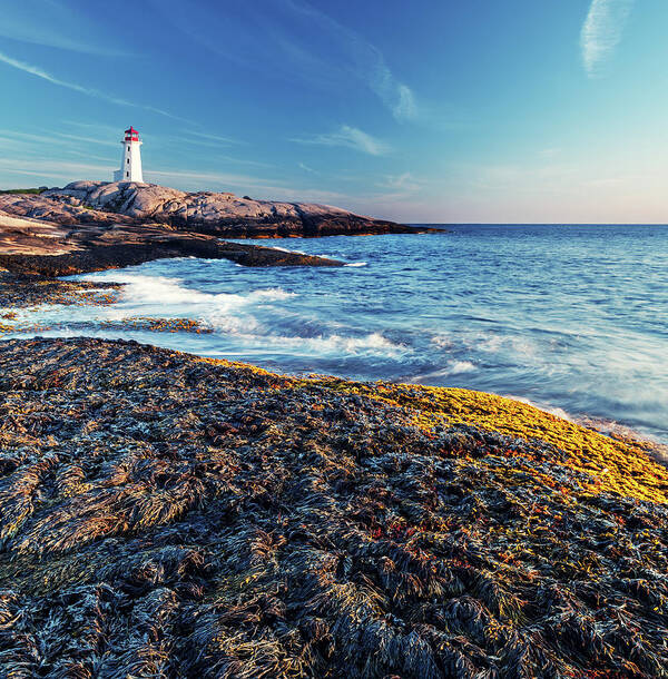 Water's Edge Art Print featuring the photograph Peggys Cove by Shaunl