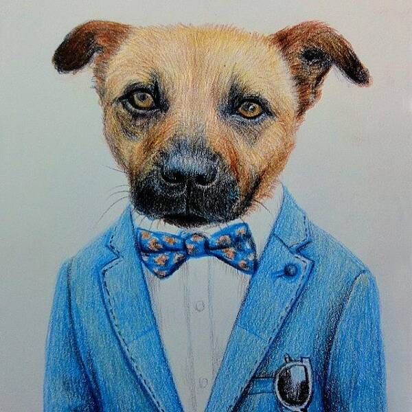 Art Print featuring the photograph Pets Dog Portrait Color Pencil Drawing by Wind Z