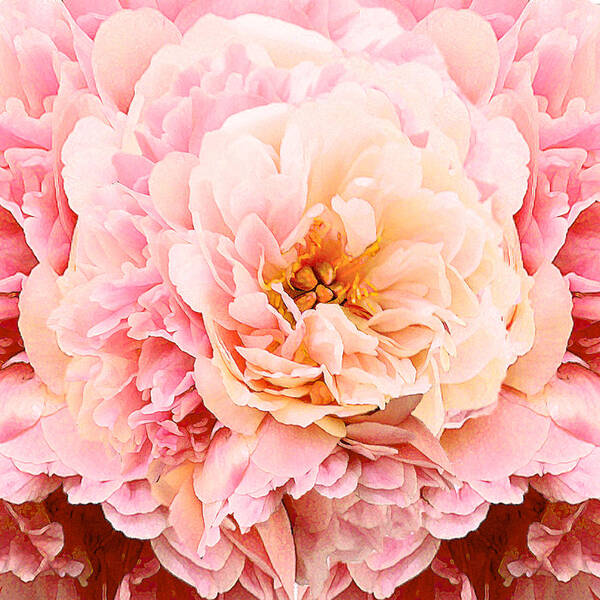 Flower Art Print featuring the mixed media Pink Peony by Michele Avanti
