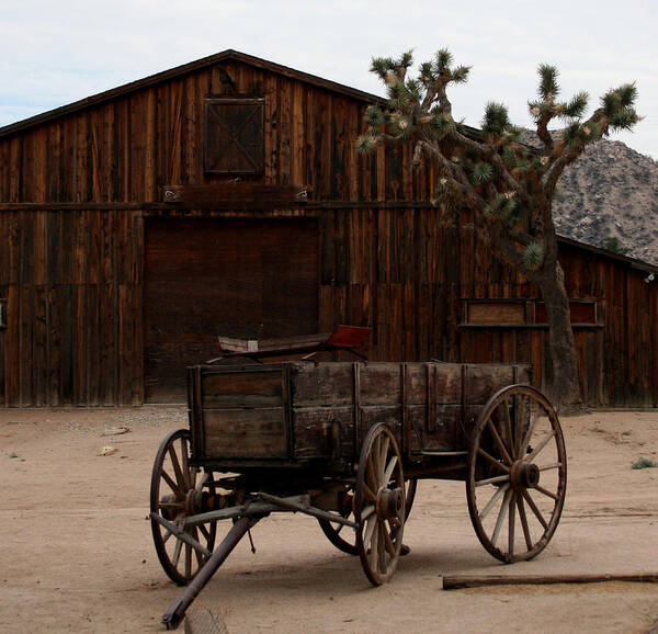 Wagon Art Print featuring the photograph Pioneer Wagon by Karen Harrison Brown