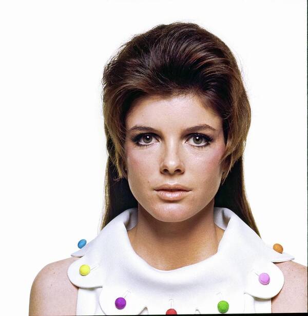 Fashion Art Print featuring the photograph Portrait Of Katharine Ross by Bert Stern