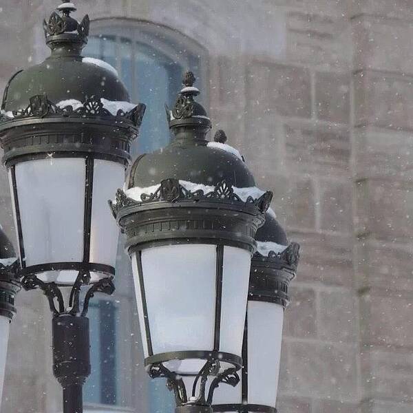  Art Print featuring the photograph Pretty Street Lamps In Quebec😊 by Brynne Fritjofson