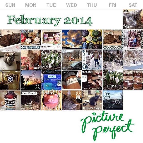 Collage Art Print featuring the photograph #projectlife365 Is Complete For by Teresa Mucha