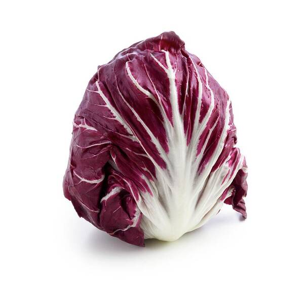 Close Up Art Print featuring the photograph Radicchio by Science Photo Library