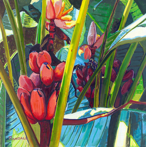 Bananas Art Print featuring the painting Red and Green by David Randall