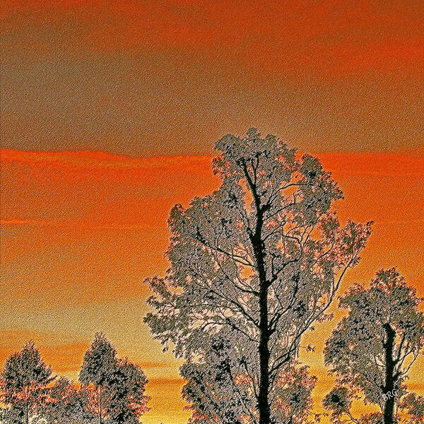 Tree Top Art Print featuring the photograph Red Sunset With Trees by Ben and Raisa Gertsberg