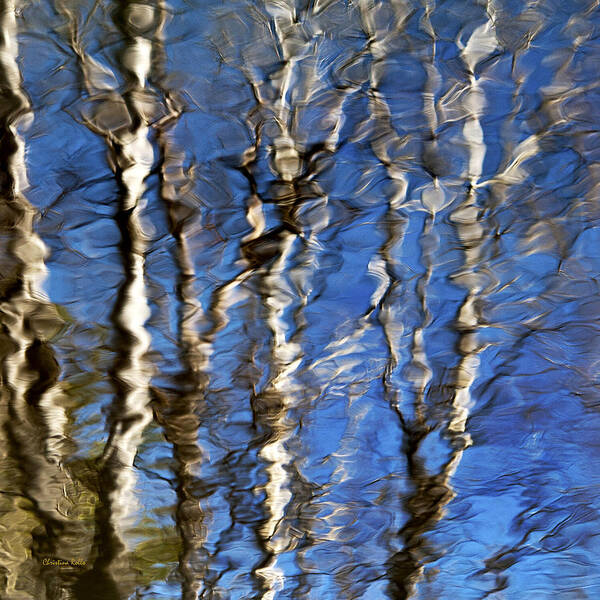 Water Reflection Art Print featuring the photograph Water Reflection Aspen Trees by Christina Rollo