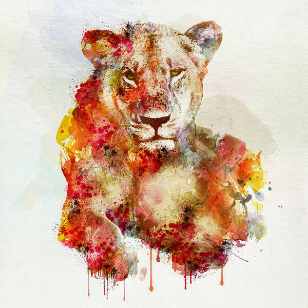 Marian Voicu Art Print featuring the painting Resting Lioness in watercolor by Marian Voicu