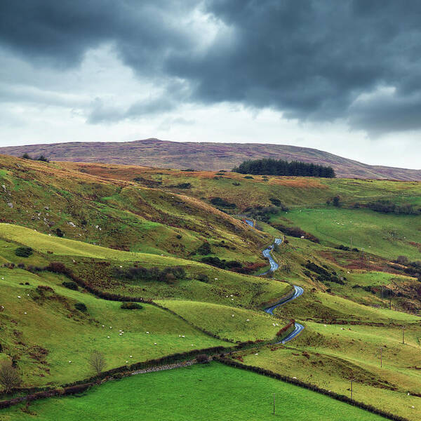 Scenics Art Print featuring the photograph Road In Ireland by Mammuth
